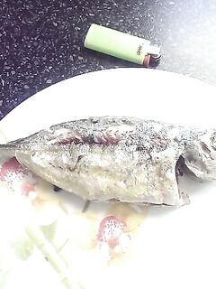 Утреннее море и потерянная крупная рыба