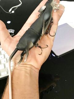 Подготовка к сезону — снасти собираю заранее