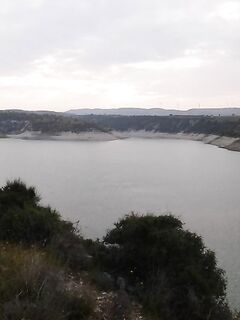 Весеннее утро и три бодрых басса