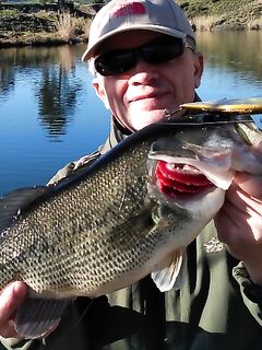 Дополнение к отчёту о Кипре