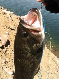 Серия на Кипре: трофеи и призыв не есть рыбу