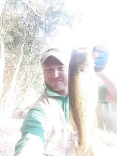 Новая дамба и первые крэнки