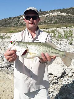 Жара, бассы и бонусы