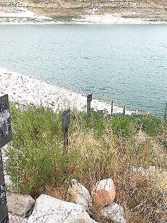 Курис: первое утро и победа Гарри Ямомото