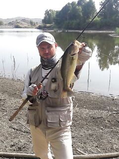 Бассы за последние две недели