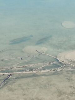 Эврету, Аспра и Курис — воспоминание о рыбалке год назад