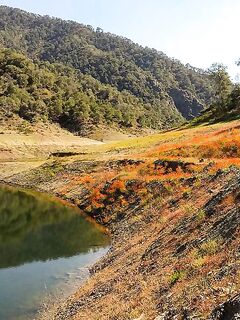 Аспрокреммос, Эврету, Канавью: весенняя статистика