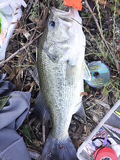 Апрельский Кипр: Аспра, Эврету и Канавью