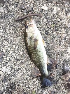 Канавью, Эврету и Аспра: короткий отчёт по трём дамбам