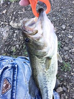 Неделя на Кипре: три трофея и вера в спиннербейт