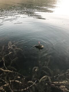 Подготовка к Кипру: снасти, тубус и первые советы