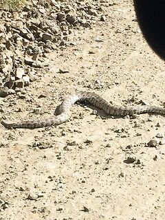 Морская рыбалка на Северном и Протарасе: первые выводы