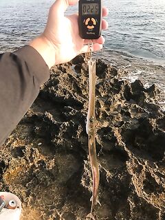 Канавью пересох: бассу конец