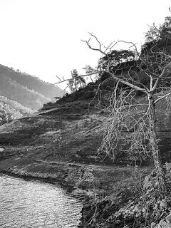 Ассоциация, бассы и карточка рыболова