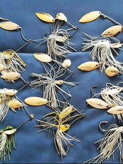 Одни из тех, кто не сдается на Кипре