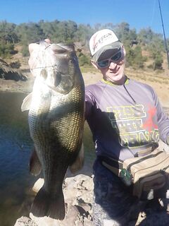 Спиннер — универсальная приманка и злые поклёвки