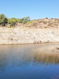 Запад Канавью и дельфин-басс на поппер Гарри