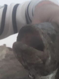 Калавасос на рассвете и три басса Юры с Протараса