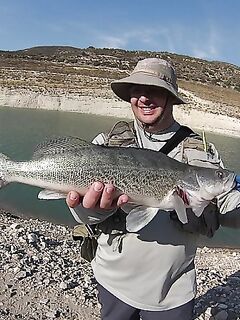 Курис, судак на техас и ужасающий уровень Эврету