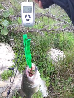 Разловился с первой минуты