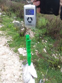 Кипр, ожидание следующей рыбалки