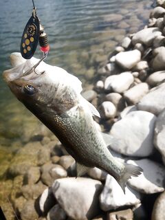 Ультралайт на Кипре: мелочь да радость