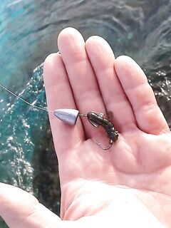 Айя-Напа, фугу и обкусанные клешни