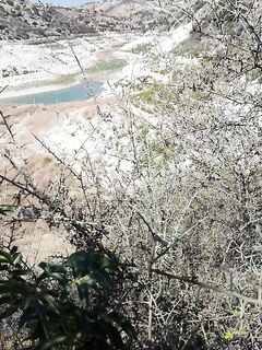 Аспрокремос и первые трофеи после спиннинговой беды