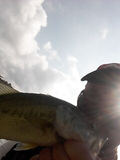 Последняя рыбалка с тренером и спуск по скале