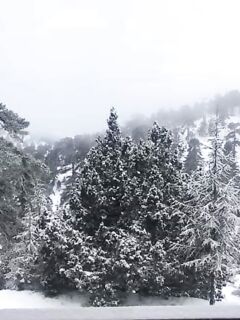 Кипрское лето и жара под Аллаха