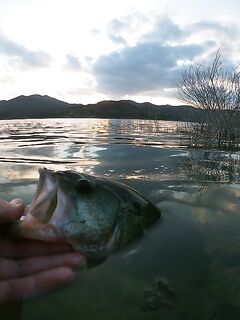 Декабрьский дубль: Гермасоя и Дипотамос