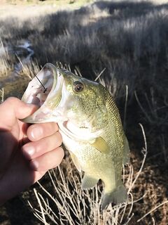 Утро на Канавью