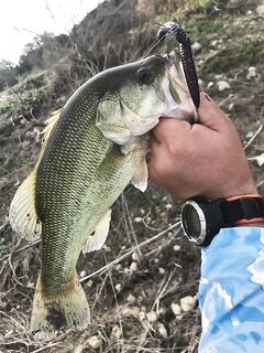 Фото с дамбы