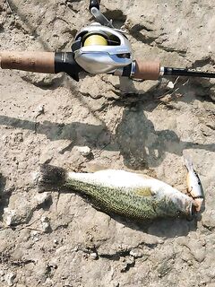 Октябрьская десятка: под 100 бассов!