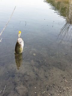 Эврету: утро и вечер