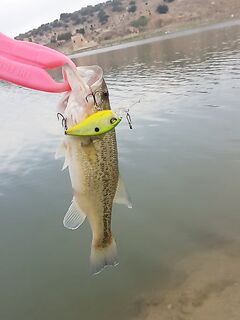 Эврету после дождя: трудовой день