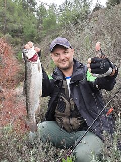 Плотный график по дамбам Кипра