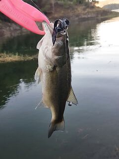 Эврету и Канавью: контрасты дня