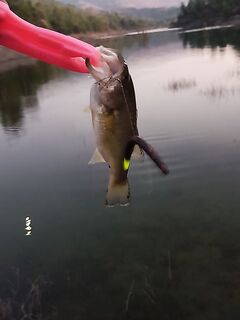 Закрытие сезона: вечерние выезды