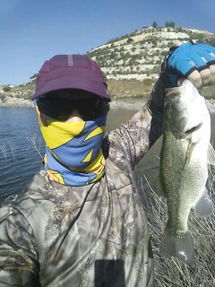 Неделя бассовых приключений: Эврету, Аспра, Канавью, Курис