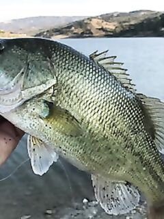 Семейная неделя на Кипре: Эврету, Ахна, Лефкара