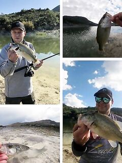 Осторожно: кражи из арендованных машин