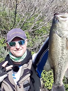 Весенний отчёт: басс проснулся