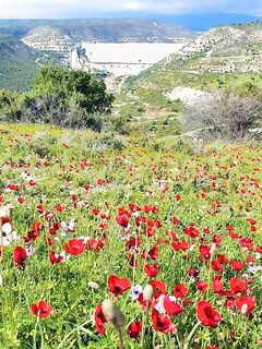 Апрель на Кипре: ностальгия и фото