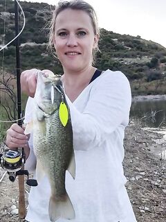 Курис оживает после перепадов