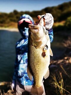 Еврету: свежие кадры и впечатления