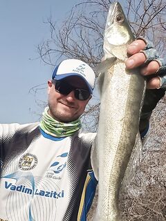 Кипр: эксперименты и сюрпризы