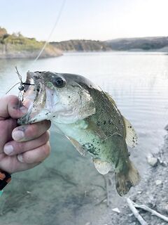 Осенняя рыбалка в заливах Кипра