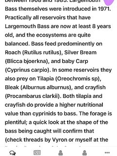 Северный Кипр и бассовые слухи