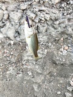 Кипр: трудовая рыбалка и пустые берега